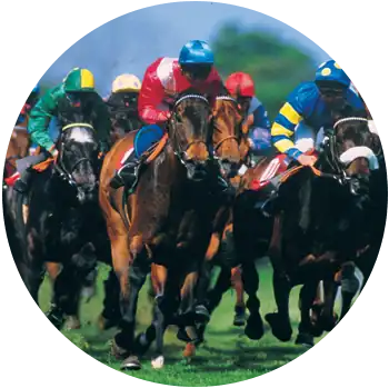 A group of riders race on horses, wearing assorted colors of racing clothes and helmets.